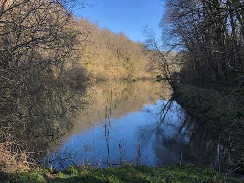 Vente Terrain RARE PROPRIETE AVEC ETANGS RIVIERE Recey-sur-ource