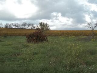  Terrain  louer 500 m