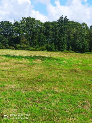  Terrain à vendre 1181 m²