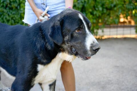 LUPIN 320 27620 Gasny