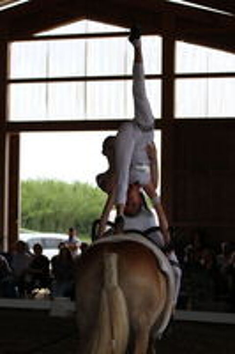   EQUI-GYM
centre equestre a ELNE 
