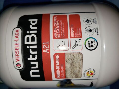 Nutriment bébé perroquet 14 59320 Haubourdin