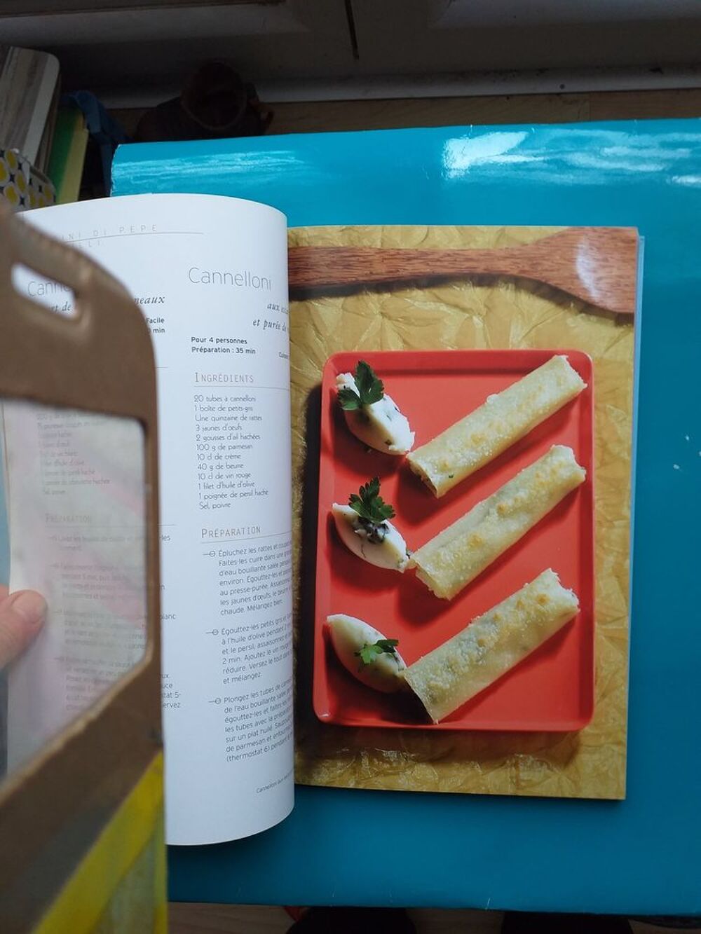 PATES LASAGNES - Collection petits plats plaisirs Livres et BD