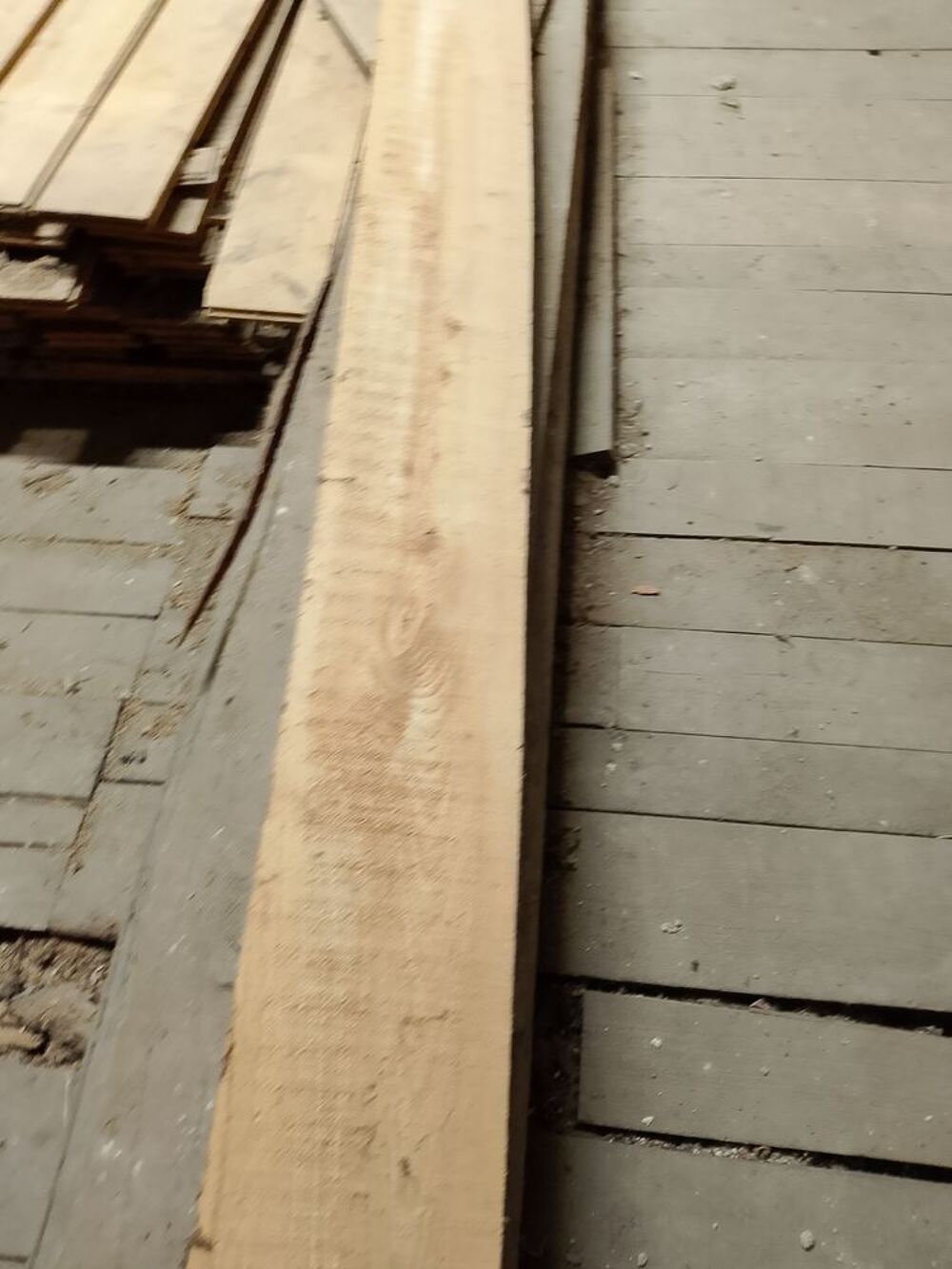 Planche d orme Bricolage