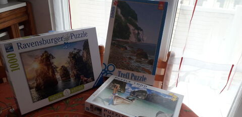 Puzzles 4 St Brevin L Ocean (44)
