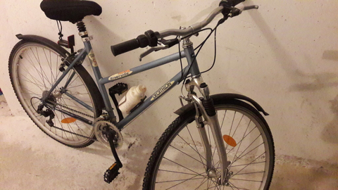 vend vlo femme 600 Torcy (77)