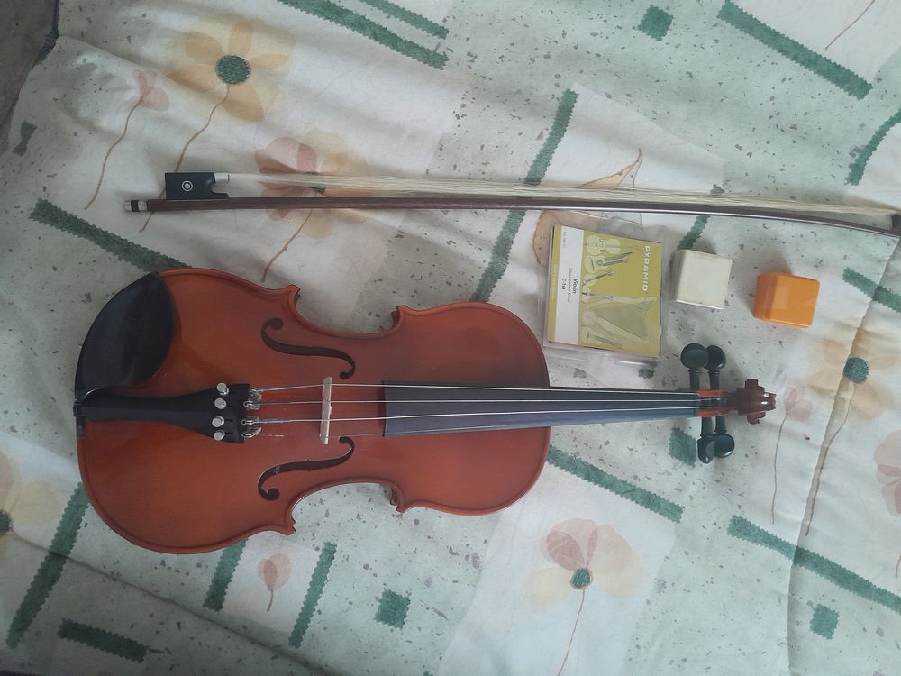 Violon Instruments de musique