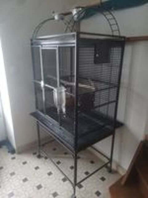   Cage perroquet  