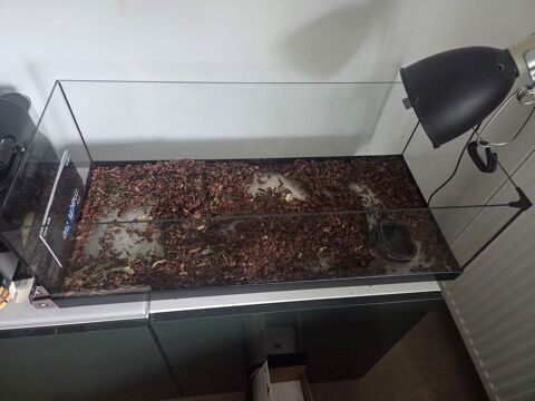 Terrarium 22 94490 Ormesson-sur-marne