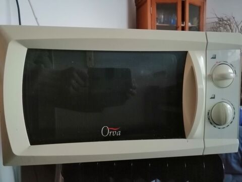 Four micro-ondes 20 Notre-Dame-de-Monts (85)