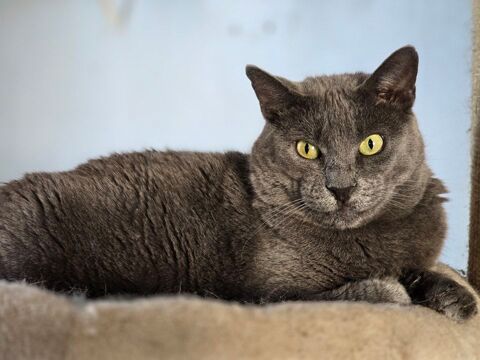 GINA 210 27140 Gisors