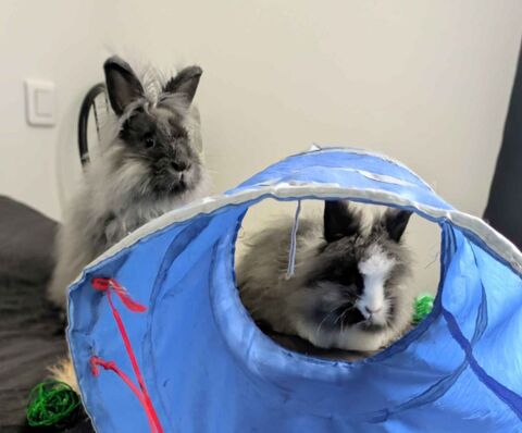 Kissa  & Devine 340 44000 Nantes