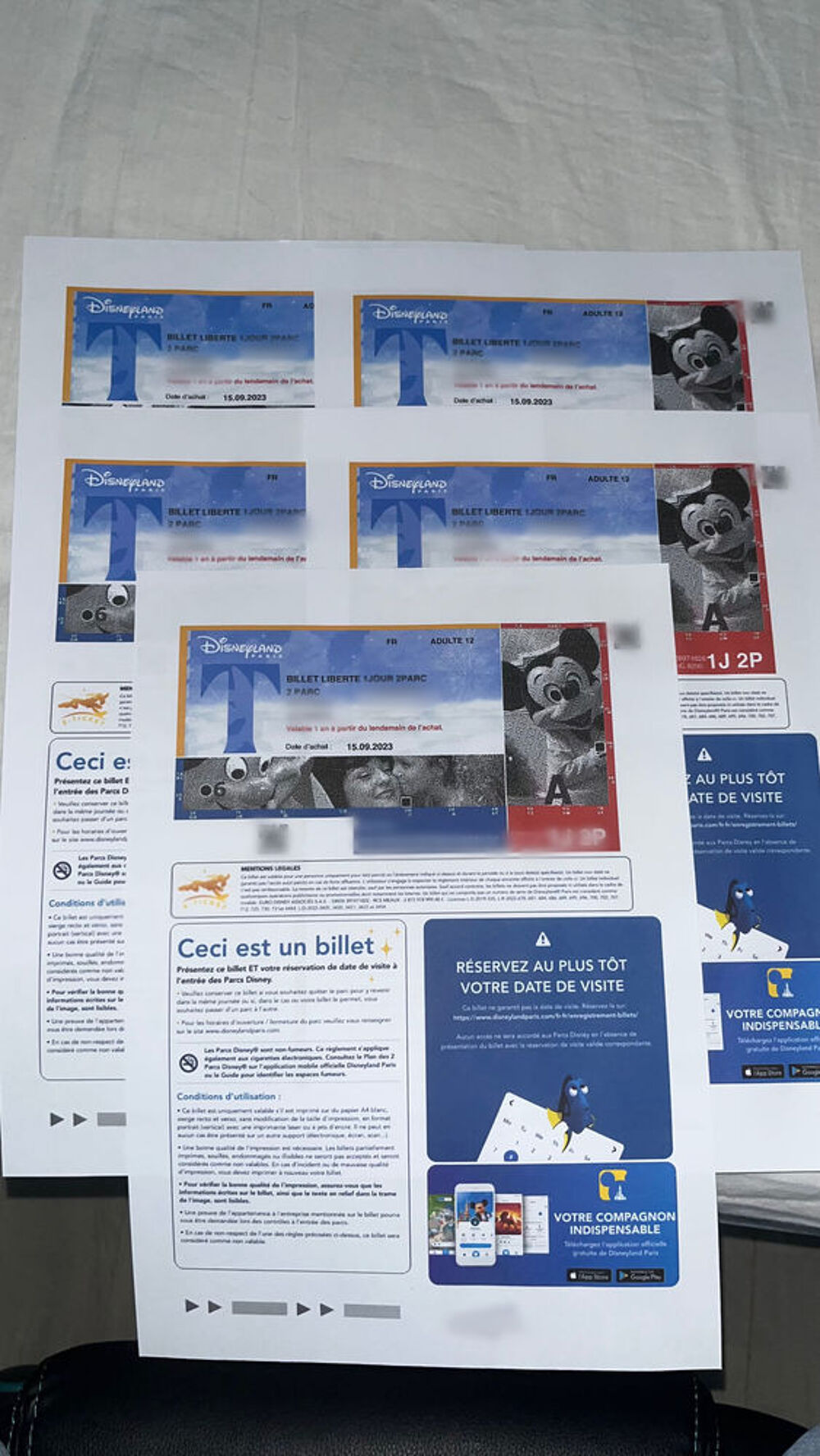 5 places Disney 1jour/2parcs Billetterie