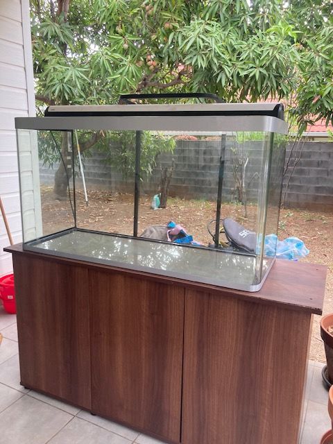 AQUARIUM MODERNE À COINS ARRONDIS OSAKA 320 LITRES + ÉCLAIRA 300 97434 Saint-gilles les bains