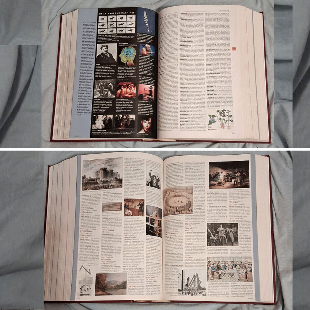Gros dico Larousse 1850pages, 4kg Livres et BD