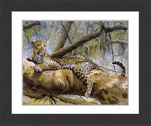 Cadre l�opard par Malcom GREENSMITH 15 Chauny (02)