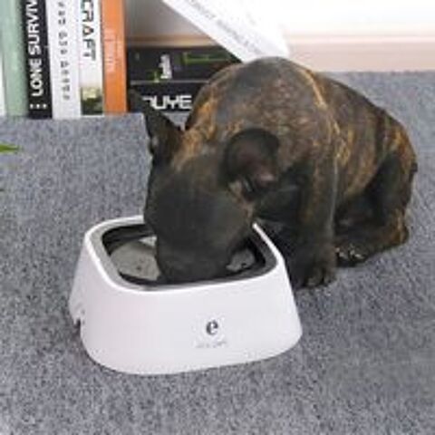   Bol d'eau distributeur d'alimentation lente pour animaux  