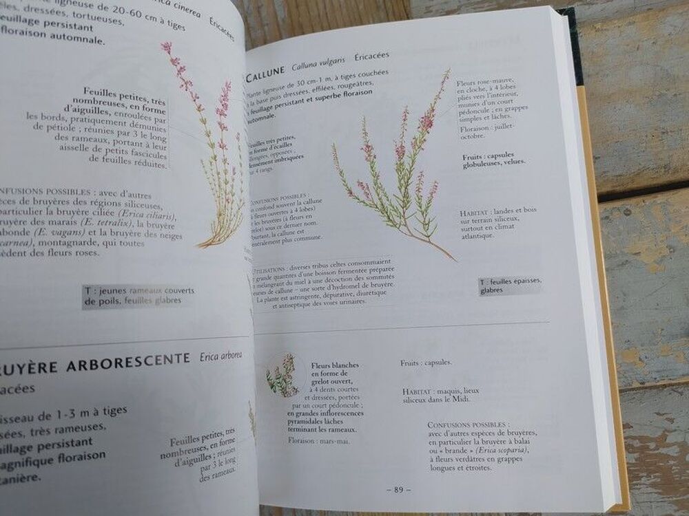 Livre Delachaux Niestl&eacute; Reconnaitre Facilement les Plantes Livres et BD