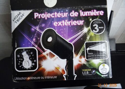 projecteur bonhomme de neige ext /int Colmar (68)