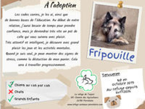   Fripouille  