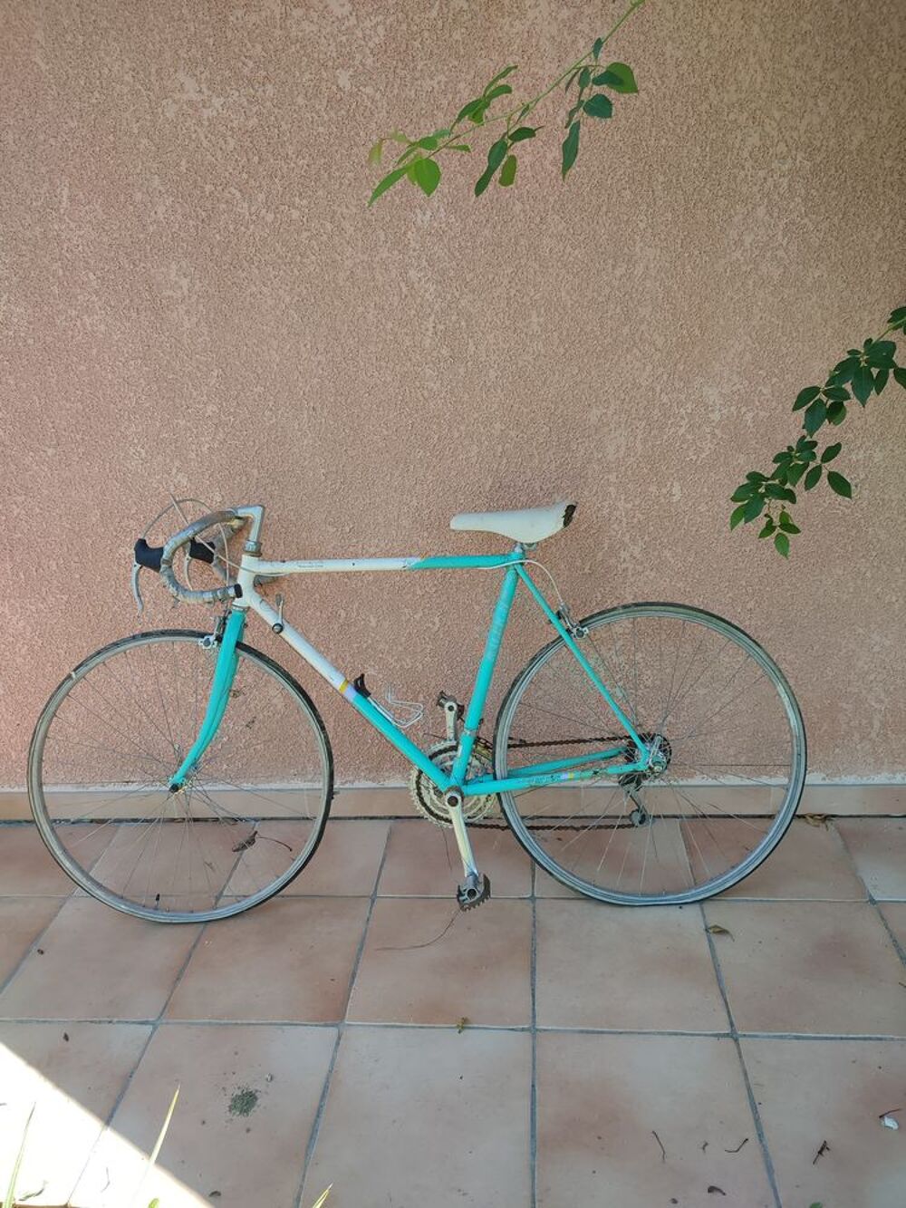 V&eacute;lo homme Vélos