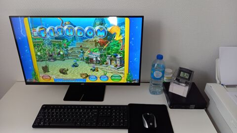 PC FIXE DELL 190 Villesiscle (11)