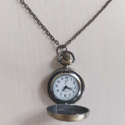 Montre pendentif nature 15 Dombasle-sur-Meurthe (54)