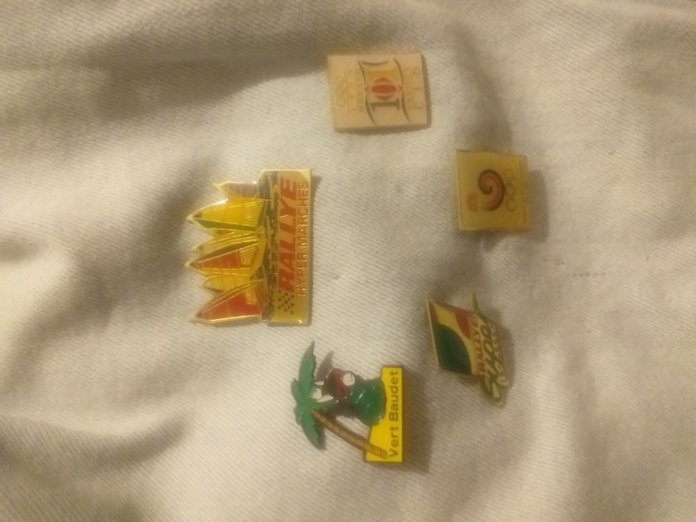 lot de 5 pins d'hiver 
