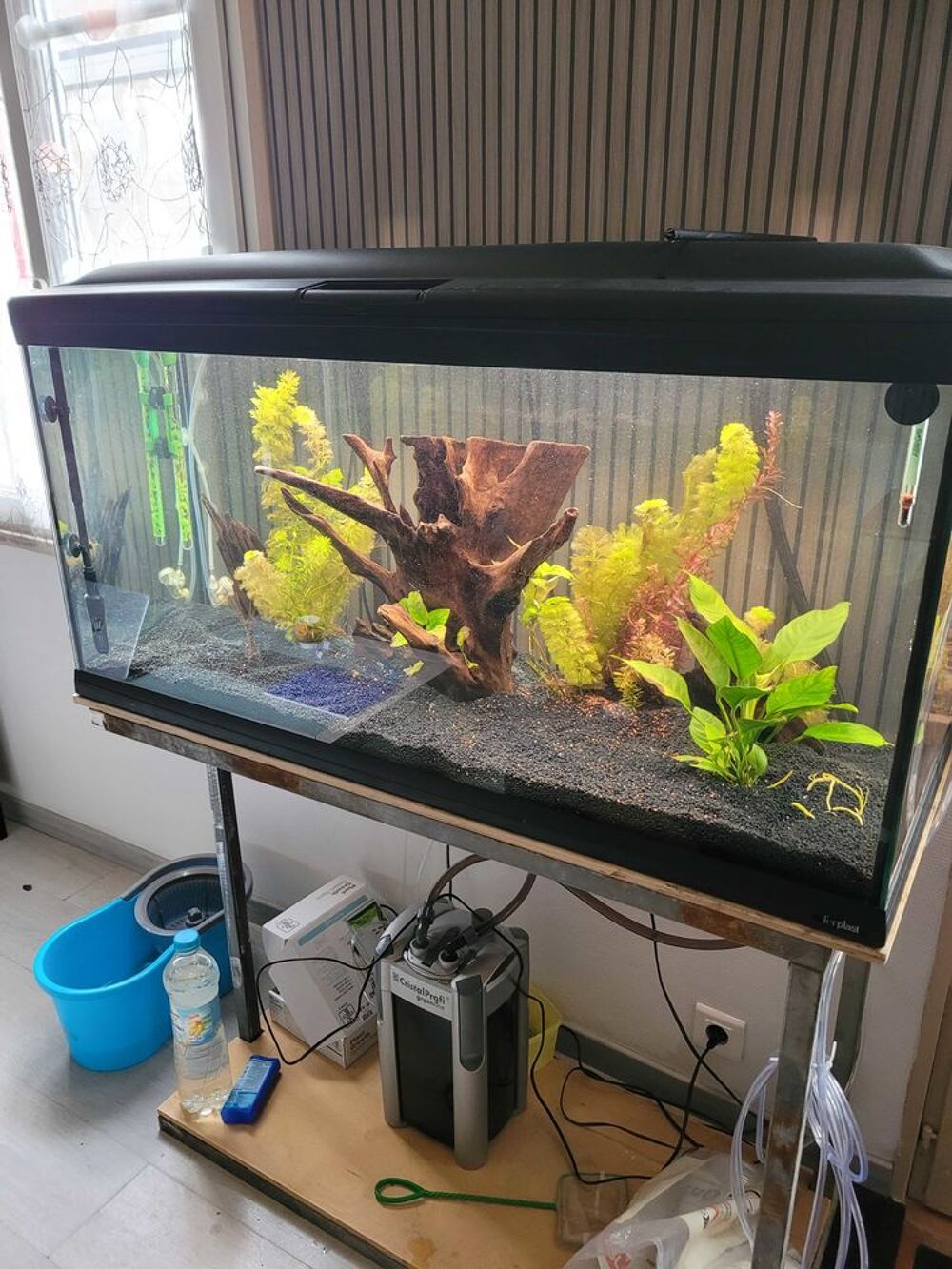 poisson aquarium Décoration