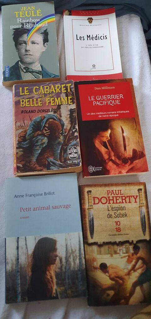 Je suis Audrey je mes livres addulte 4e 1 et12 eur 4 Dax (40)