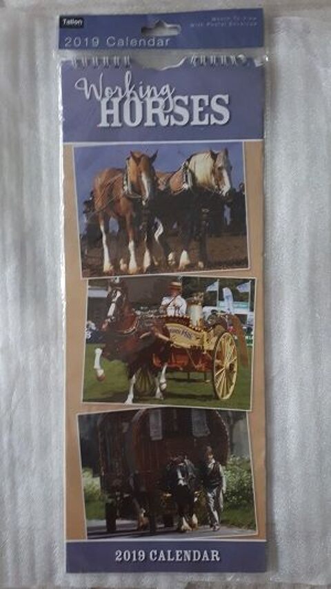 calendrier mural 5 Fleurance (32)