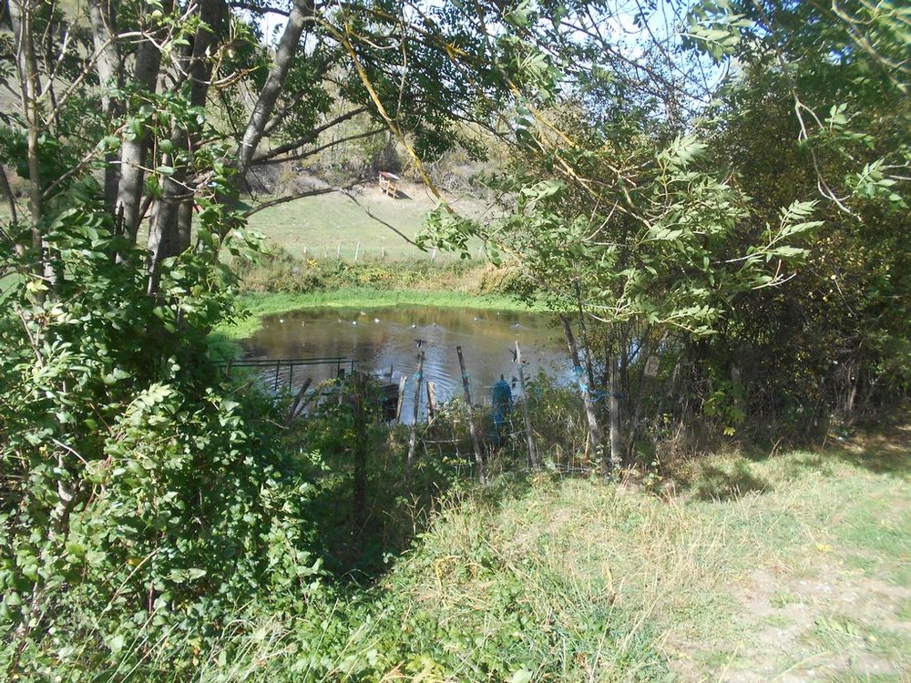 Vente Terrain terrain environ 2 hectares Saint-floret