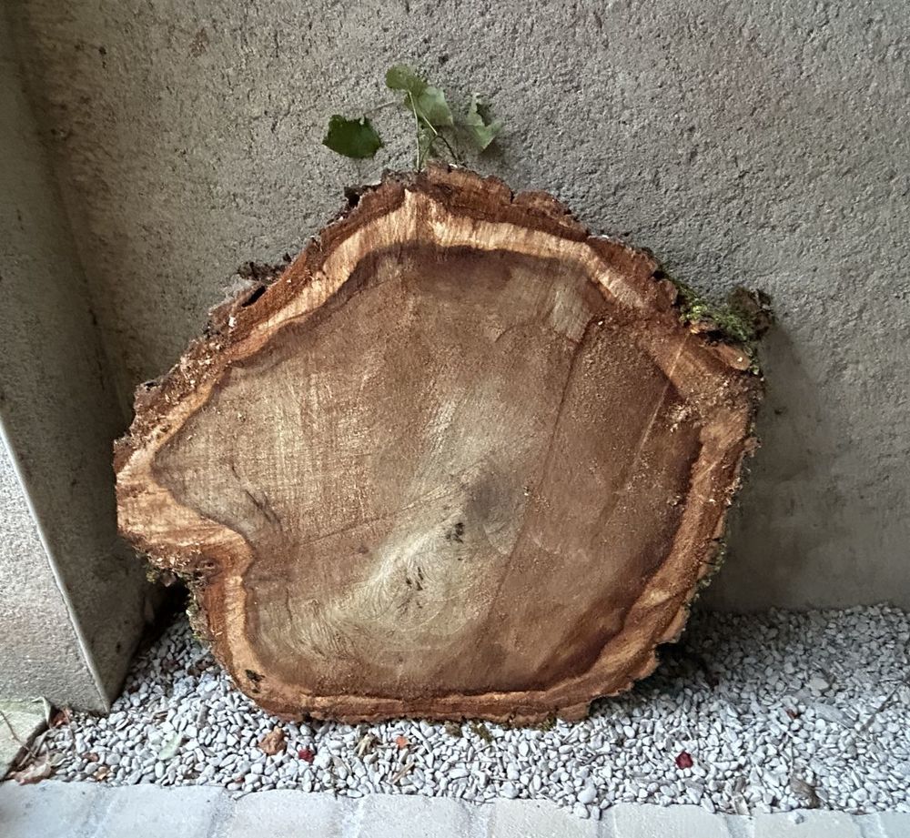 grandes rondelles bois brut, tranches de bois massif Jardin
