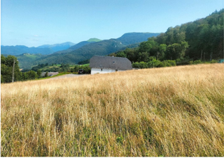  Terrain � vendre 2534 m�