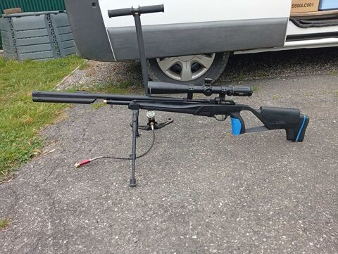carabine xm1 �  vendre 250 Herbignac (44)