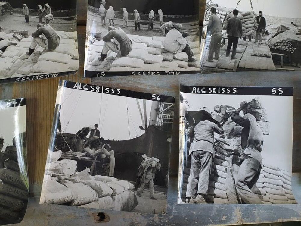  Lot 81 Photographies Alg&eacute;rie Chantier Construction 1957-58 