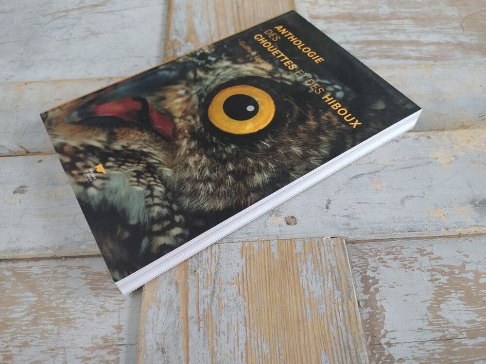 Livre Delachaux Niestl&eacute; Anthologie des Chouettes et Hiboux Livres et BD