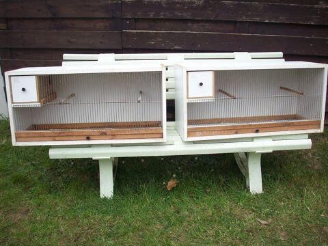 Cages de reproduction 40 29710 Plozvet