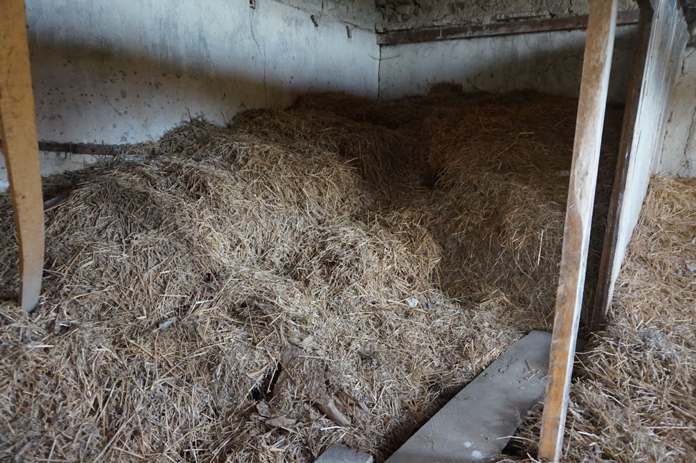 paille pour litii&egrave;res d'animaux Bricolage