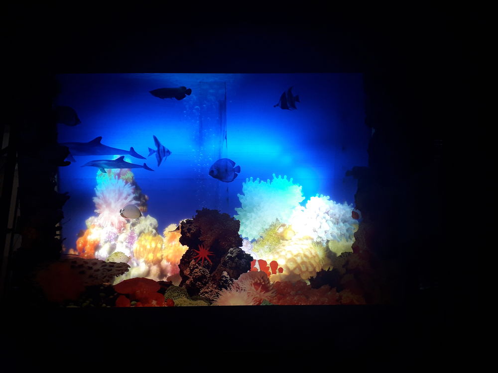 Cadre lumineux aquarium marin, Décoration