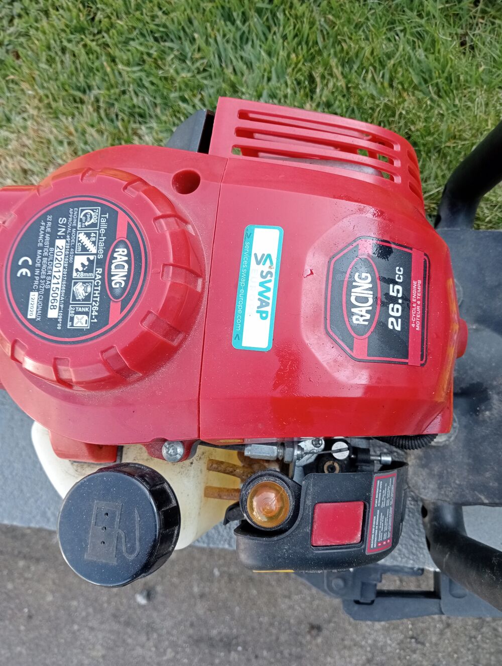 Taille haie thermique Jardin