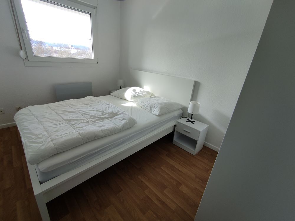 Location Appartement F3 meublé à 10 minutes à pied du Parc de la Pépinière à Nanc Nancy