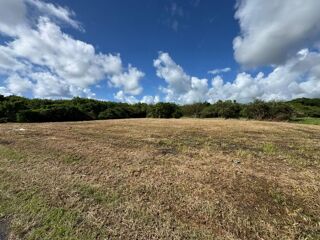  Terrain à vendre 600 m²