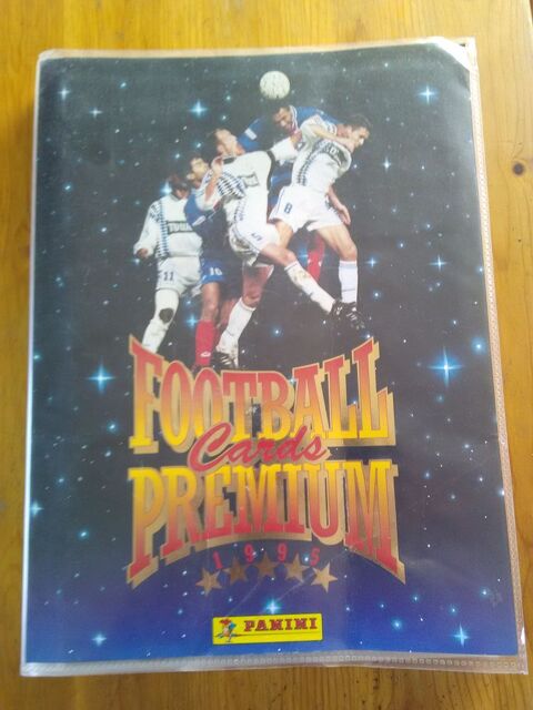 Classeur FOOTBALL CARDS PREMIUM 1995 complet 160 Dijon (21)