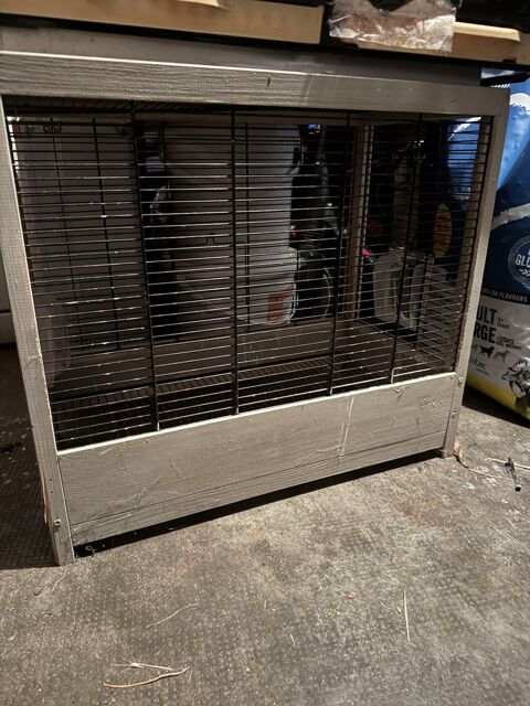 Cage pour oiseau 10 93330 Neuilly-sur-marne