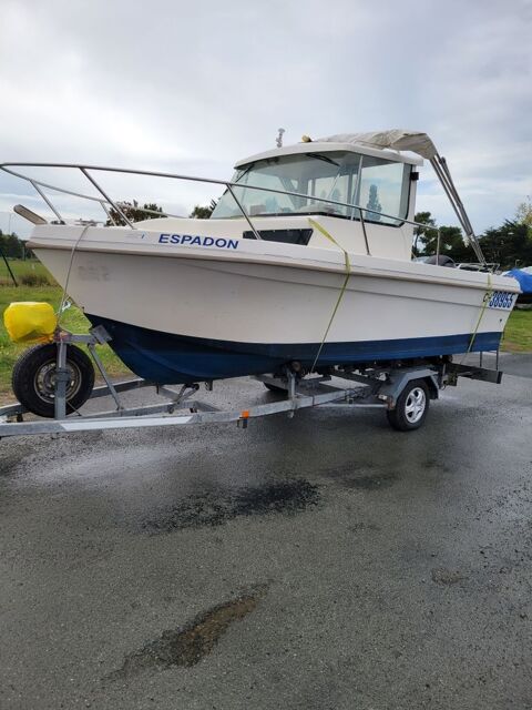 Bateaux &agrave; moteur P&ecirc;che-promenade 1998 occasion Aubign&eacute;-Racan 72800