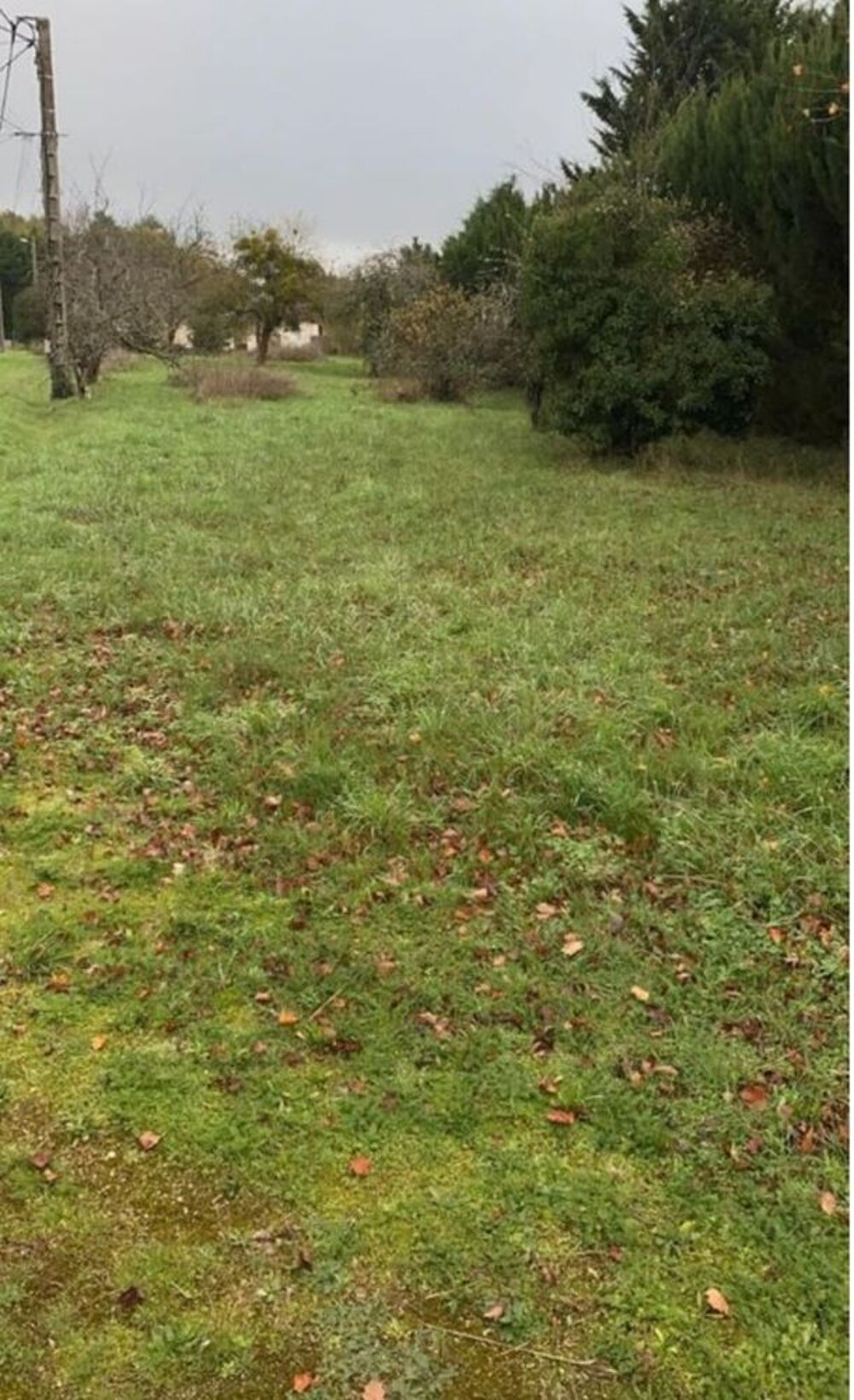 Vente Terrain terrain constructible Montrieux-en-sologne