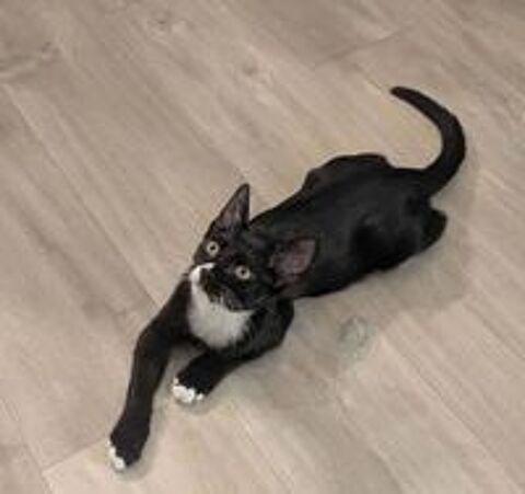   BINX 