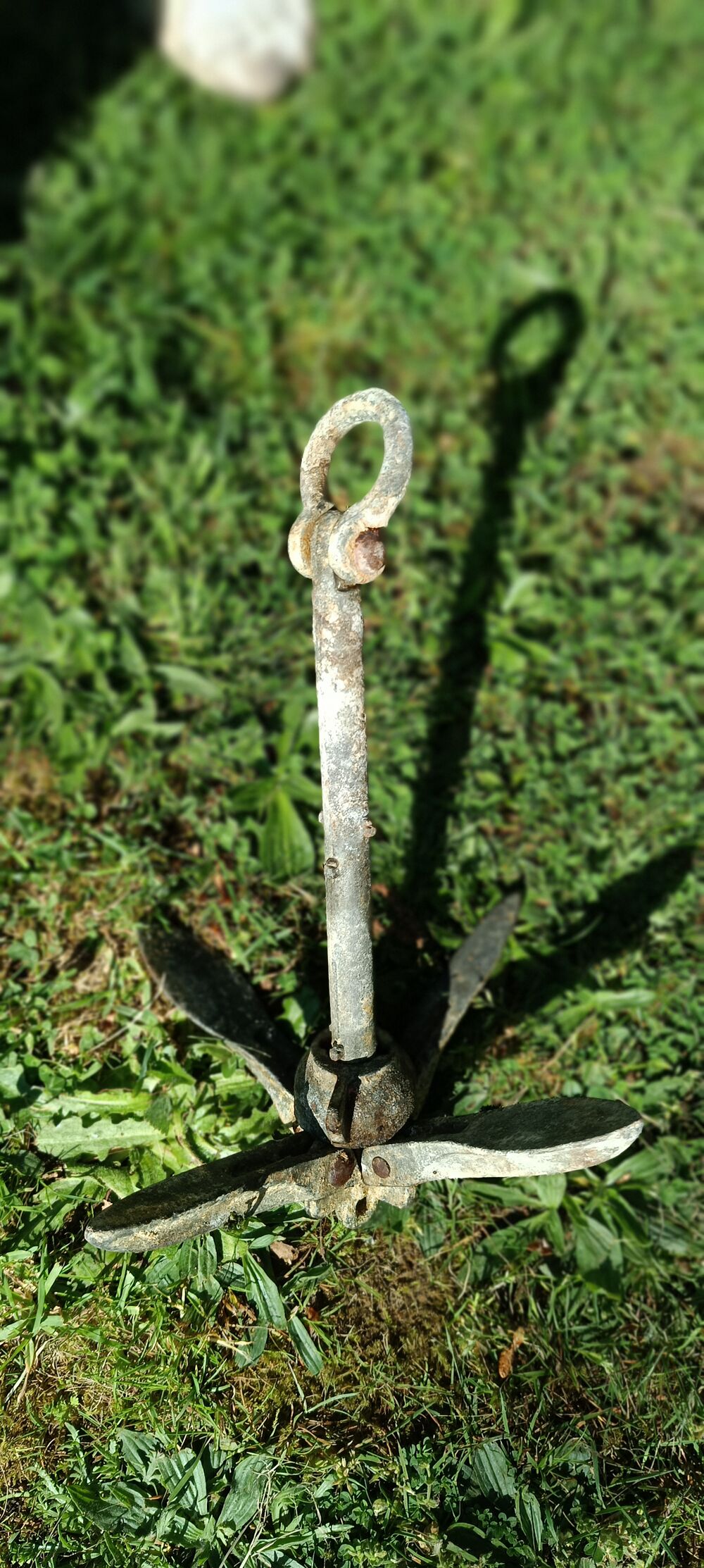   occasion 56310 Quistinic