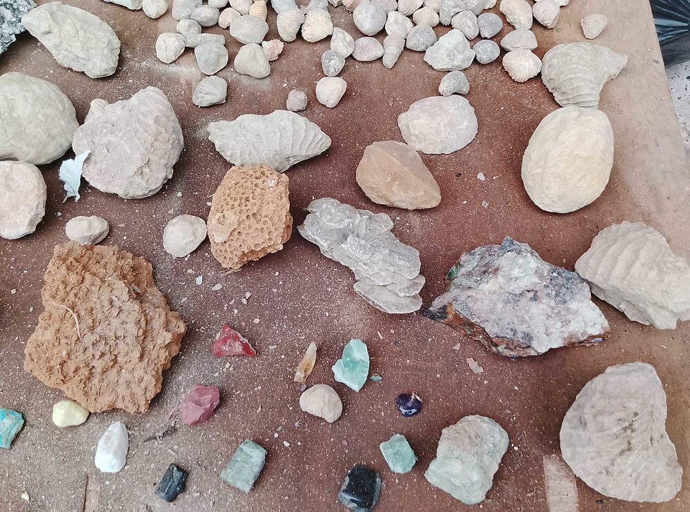 min&eacute;raux et fossiles collection 